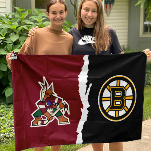 Coyotes vs Bruins House Divided Flag, NHL House Divided Flag