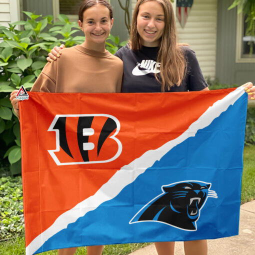 Bengals vs Panthers House Divided Flag, NFL House Divided Flag