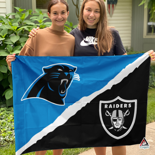 Panthers vs Raiders House Divided Flag, NFL House Divided Flag