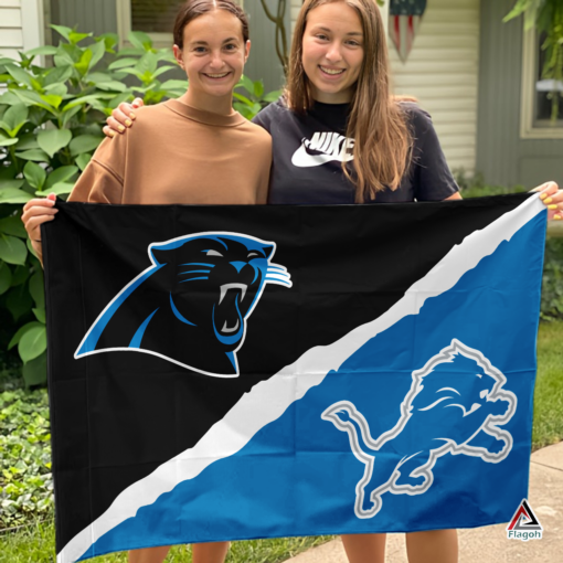 Panthers vs Lions House Divided Flag, NFL House Divided Flag