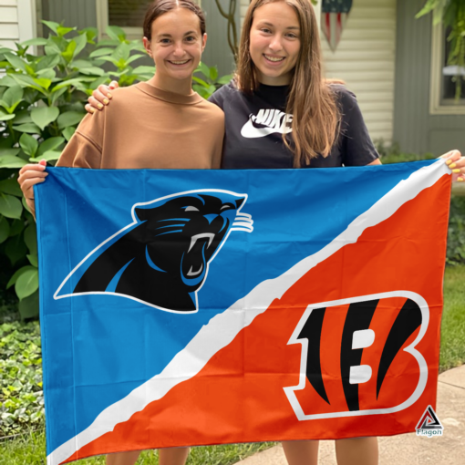 Panthers vs Bengals House Divided Flag, NFL House Divided Flag