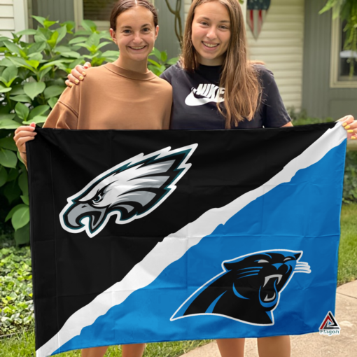 Eagles vs Panthers House Divided Flag, NFL House Divided Flag