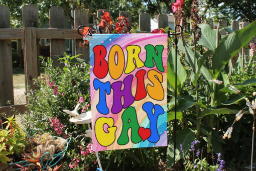 Born This Gay Flag, LGBTQ Pride Flag, Pride Month Home Decor