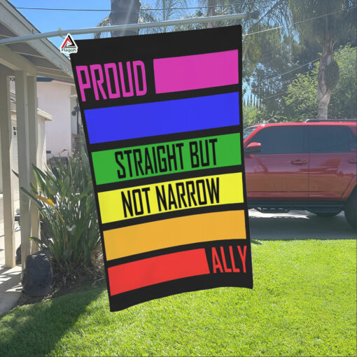 LGBTQIA+ Progress Pride Ally Flag