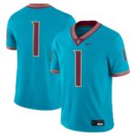 Florida State Seminoles Nike Alternate Game Jersey - Turquoise, Limited Replica Fan Edition