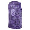 LeBron James Los Angeles Lakers Unisex Select Series Swingman Jersey - Purple, Limited Replica Fan Edition