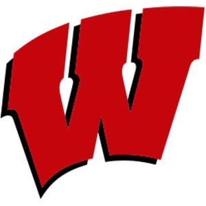 Wisconsin Badgers Flag