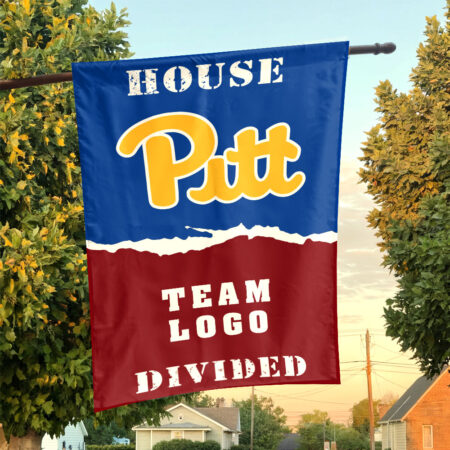 Panthers vs Custom Team House Divided Flag, NCAA House Flag