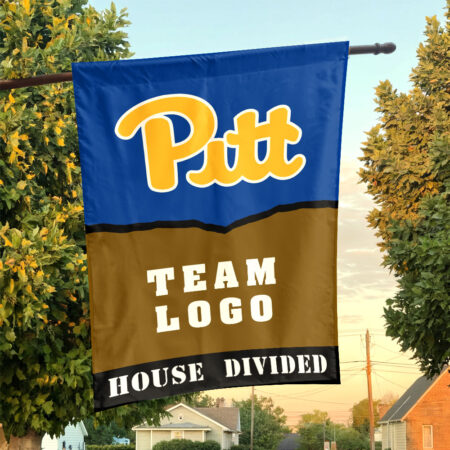 Panthers vs Custom Team House Divided Flag, Personalized House Flag