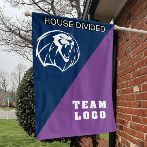 Lions vs Custom Team House Divided Flag, Custom Team Flag Lions vs Custom Team House Divided Flag, Custom Team Flag