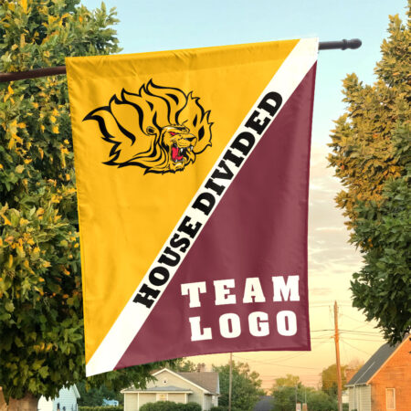 Golden Lions vs Custom Team House Divided Flag, NCAA Custom Flag