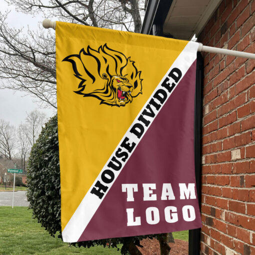 Golden Lions vs Custom Team House Divided Flag, NCAA Custom Flag