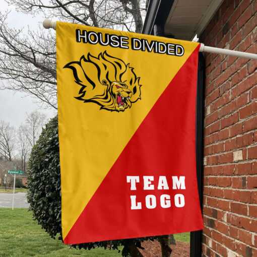 Golden Lions vs Custom Team House Divided Flag, NCAA Team Flag