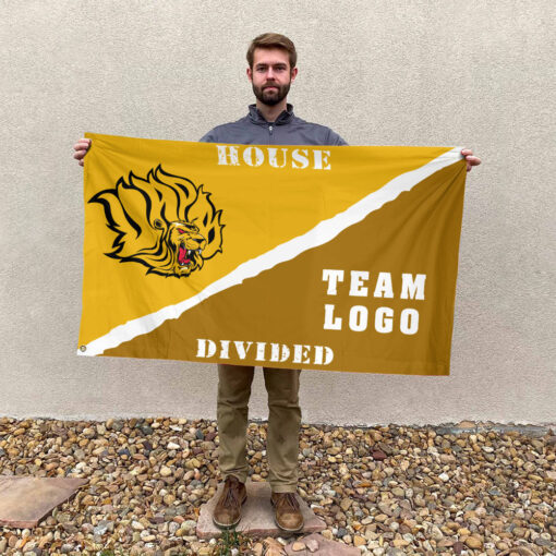 Golden Lions vs Custom Team House Divided Flag, Personalized House Flag Golden Lions vs Custom Team House Divided Flag, Personalized House Flag