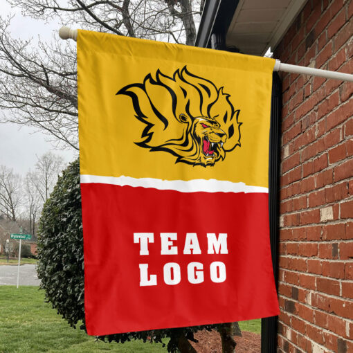 Golden Lions vs Custom Team House Divided Flag, Personalized Spirit Flag