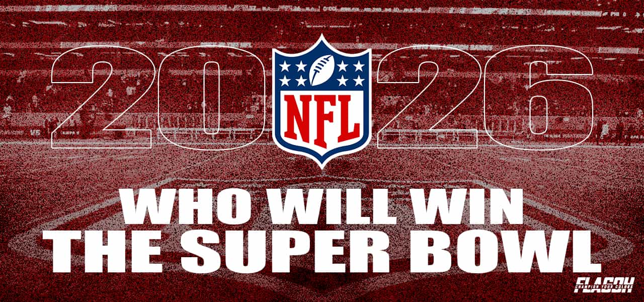 Who Will Win The Super Bowl? Seahawks vs Patriots