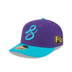 Arizona Diamondbacks City Connect Low Profile Purple Embroidered Fitted Hat