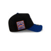 Arizona Diamondbacks Mascot Black Embroidered A-Frame Snapback Hat