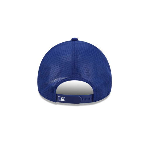 Los Angeles Dodgers 2026 Batting Practice Alt D Royal Embroidered APEX Trucker Cap