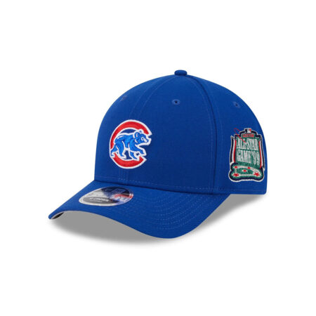 Chicago Cubs Bear M-Crown Snapback