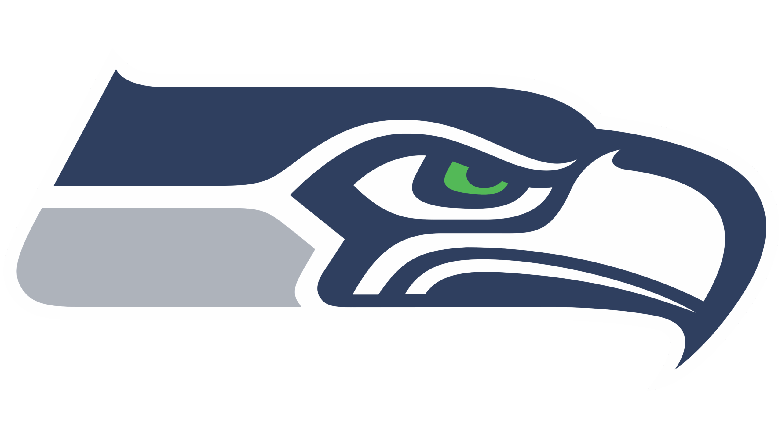 Seattle Seahawks Hat