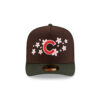 Chicago Cubs Cherry Blossom A-Frame Fitted Cap
