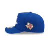 Chicago Cubs Local Fan Snapback Cap in Blue