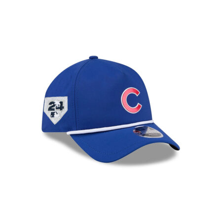 Chicago Cubs Performance Fan Snapback Cap in Blue