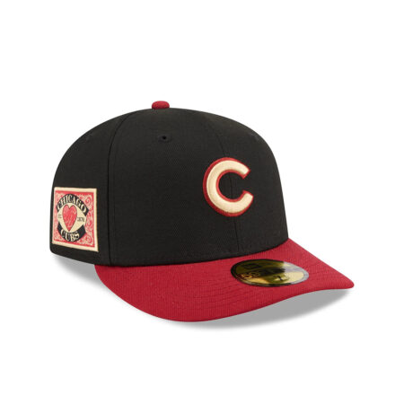 Chicago Cubs Team Card Graphic Fitted Cap in Black