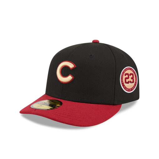 Chicago Cubs Team Card Graphic Fitted Cap in Black