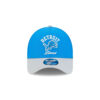 Detroit Lions Curved Wordmark Snapback Cap