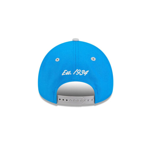 Detroit Lions Curved Wordmark Snapback Cap