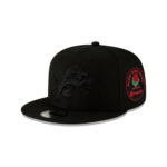 Detroit Lions Tonal Snapback Cap in Black