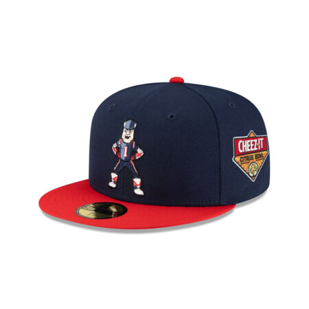 New England Patriots Mascot Fitted Cap