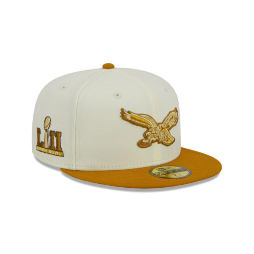 Philadelphia Eagles City Icon Fitted Cap