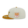 Philadelphia Eagles City Icon Fitted Cap