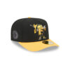 Pittsburgh Steelers Cartoon Logo Fitted Cap