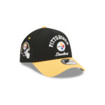 Pittsburgh Steelers Curved Wordmark Snapback Cap