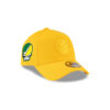 Pittsburgh Steelers Snapback Cap in Gold