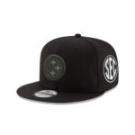 Pittsburgh Steelers Tonal Snapback Cap in Black