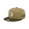 Pittsburgh Steelers Utility Fitted Cap