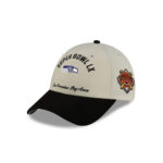 Seattle Seahawks Big Game Stretch-Snap Cap