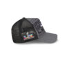 Seattle Seahawks Big Game Trucker Cap