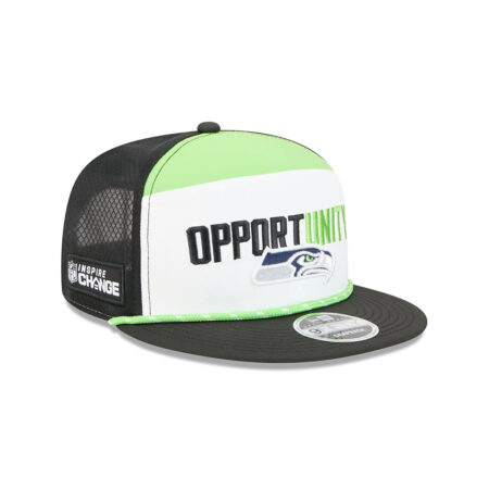 Seattle Seahawks Community Split Panel Snapback Cap