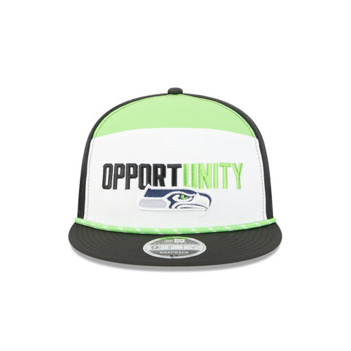 Seattle Seahawks Community Split Panel Snapback Cap