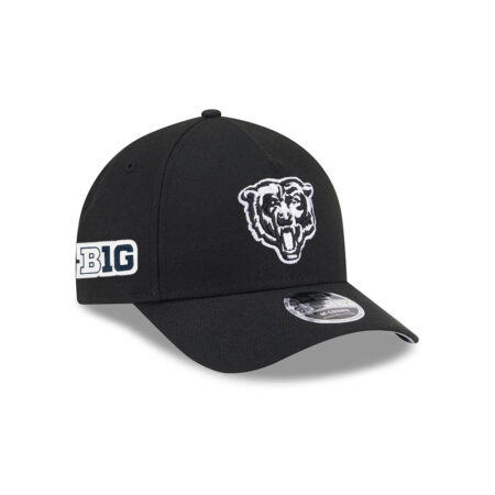 Chicago Bears Black and White Bear Head Side Patch A-Frame Snapback Hat in Black