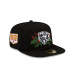 Chicago Bears Seasonal A-Frame Fitted Hat in Green