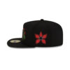 Green Bay Packers Seasonal A-Frame Fitted Hat in Green