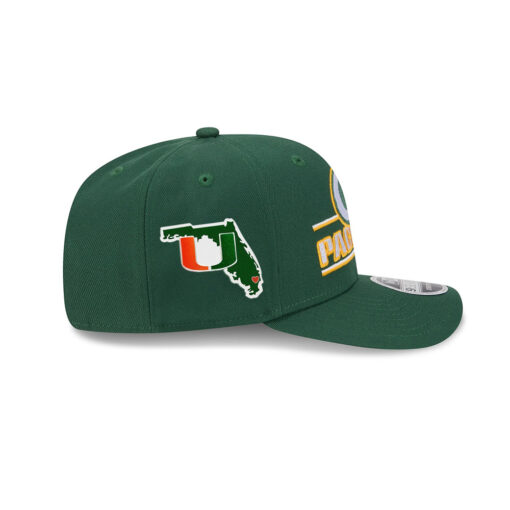 Green Bay Packers Statement Logo Stretch Snap Hat in Green
