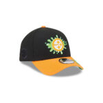 Pittsburgh Steelers Nickelodeon Slime A-Frame Snapback Hat in Slime Green